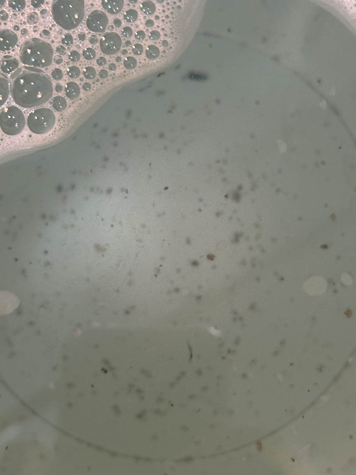 Clean washer after CleanCycle