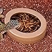 Baoblaze Reptile Water Bowl Turtle Feeding Bowl Escapeproof Reptile Feeder Easy to Clean Feeding Accessories for Small Pets Amphibians, Brown