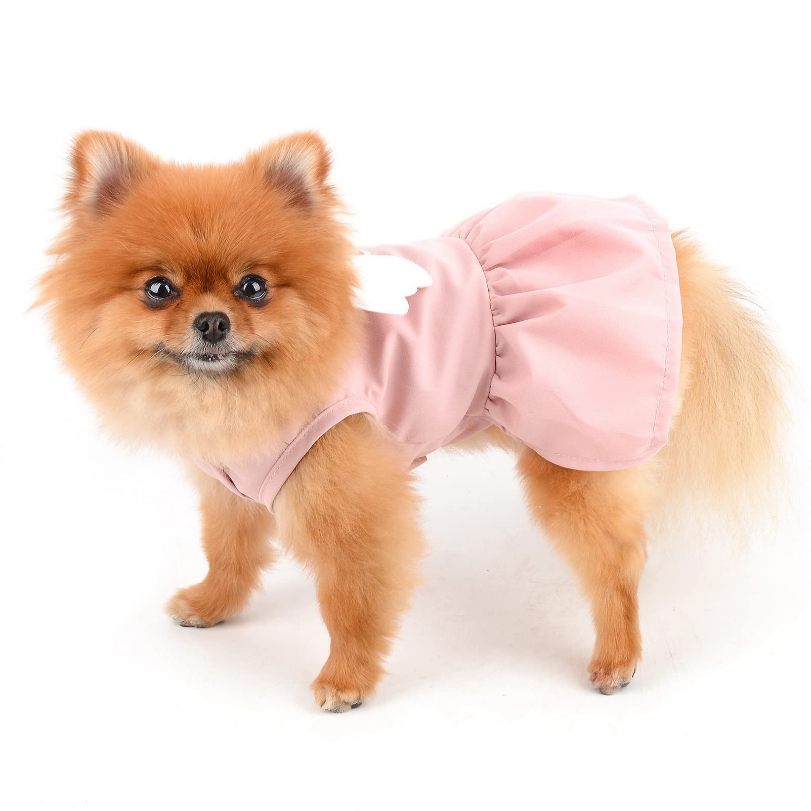 Amazon | SMALLLEE_LUCKY_STORE 犬 服 ワンピース 春 夏 小型犬 子犬