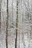  2020 Weekly Planner Winter Snow Covered Bare Tree Branches 134 Pages: 2020 Planners Calendars Organizers Datebooks Appointment Books Agendas