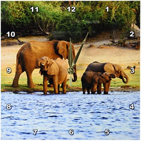 3dRose dpp_131440_1 African Elephant, Chobe National Park, Botswana-Af05 Mgl0003-Miva Stock Wall Clock, 10 by 10-Inch