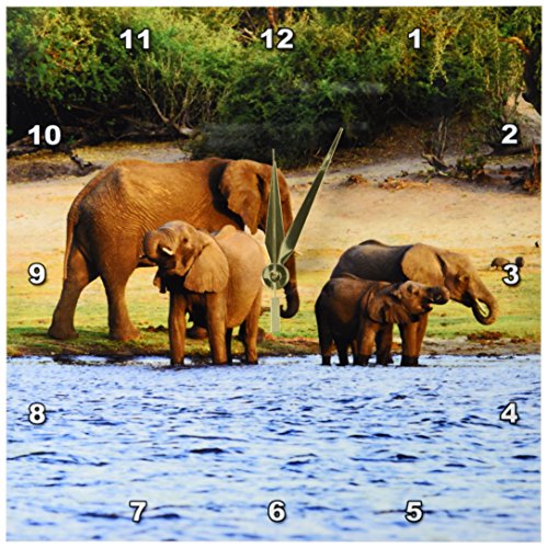 3Drose Dpp_131440_1 African Elephant, Chobe National Park, Botswana-Af05 Mgl0003-Miva Stock Wall Clock, 10 By 10-Inch #TOP28