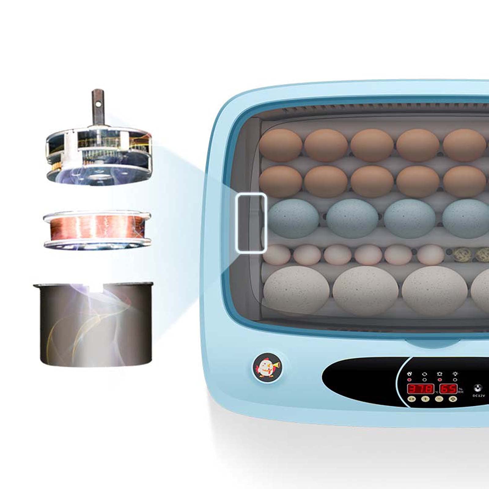 Incubadora de Huevos, máquina de incubación de Aves de Corral Completamente automática, criadora de máquina de incubación de Aves de Corral Digital Completamente automática, (Blue 36 Pieces)
