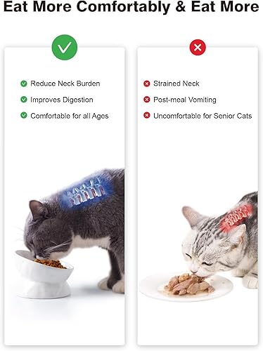 Miniatura 5 de Cuenco de comida para gatos, cuenco elevado de cerámica de 5 onzas, comedero elevado para mascotas inclinado en 15°, platos antivómitos y bigotes