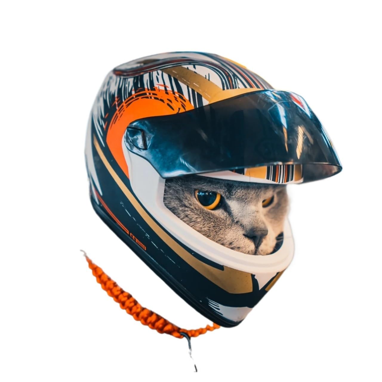 Casque pour Chien Protection Casques for Animaux de Compagnie à Faire soi-même, Casque for Chat, for Chien, Mini-Casque Protection for l'extérieur, Accessoires Photo for, Moto(B)