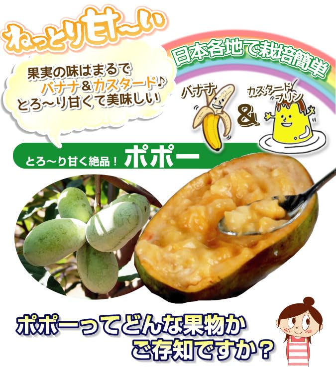 ポポ実ページ mqdefault.jpg