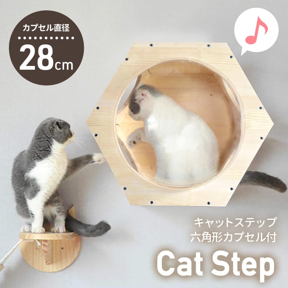 Amazon.co.jp: Bonarca キャットステップ 壁 透明 クリア 猫 宇宙船