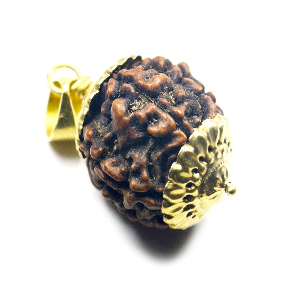 Rudraksha 6 Mukhi pendentif de guérison plaqué or pour harmoniser les énergies
