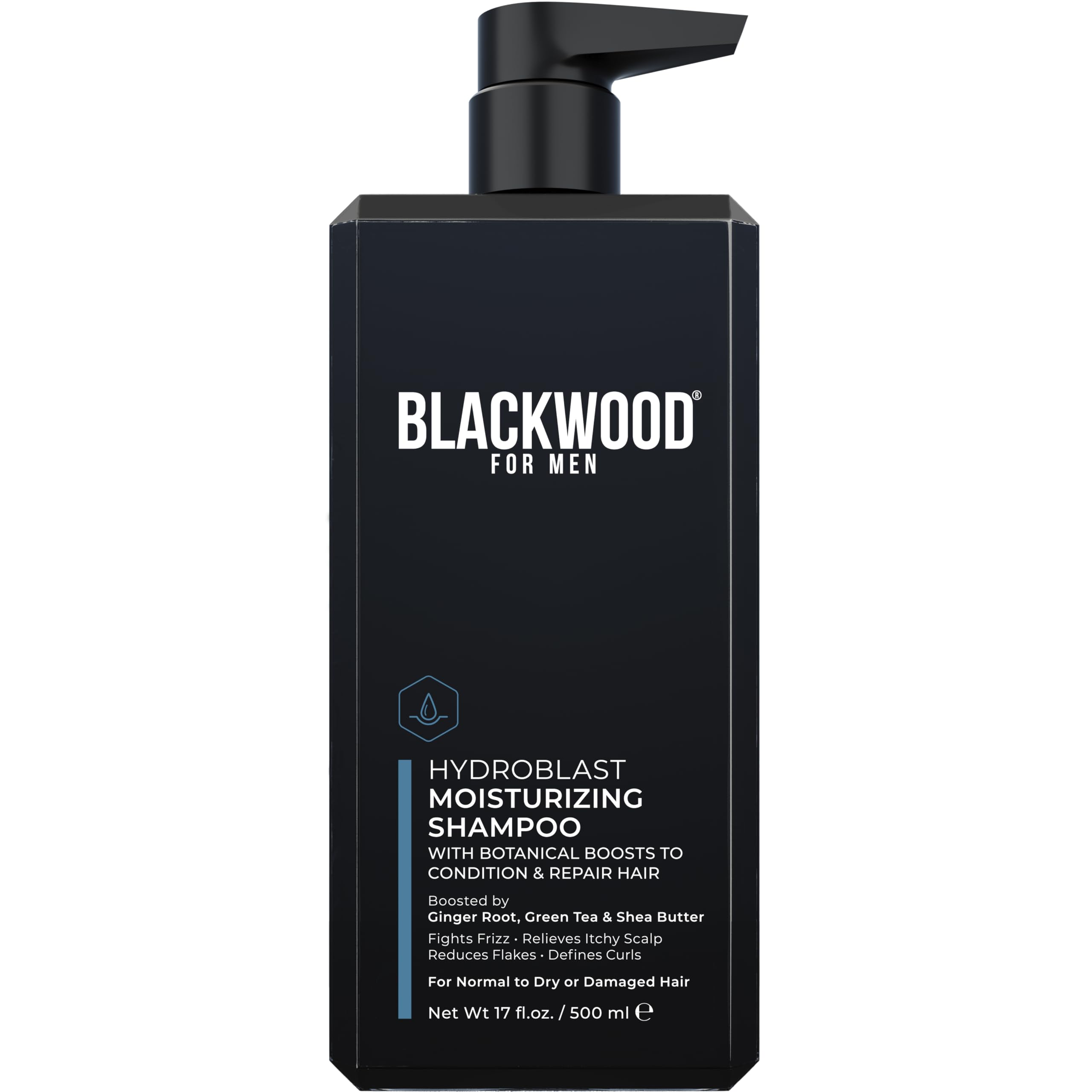 Blackwood For Men HydroBlast Moisturizing Shampoo, Dry Curly Hair 17oz | Natural Ginseng…