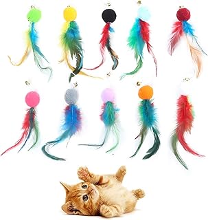 Feather Cat Toy,10 Packs Interactive Cat Feather Teaser Toys,Natural Cat Feather Teaser Toys with Bell for Indoor Cats Gifts, Kitty Toys for Exercise(Feather Replacement Heads)