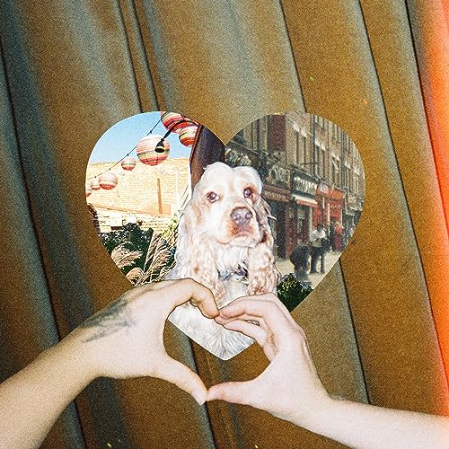 Alice Ivy, Mallrat & Jelani Blackman