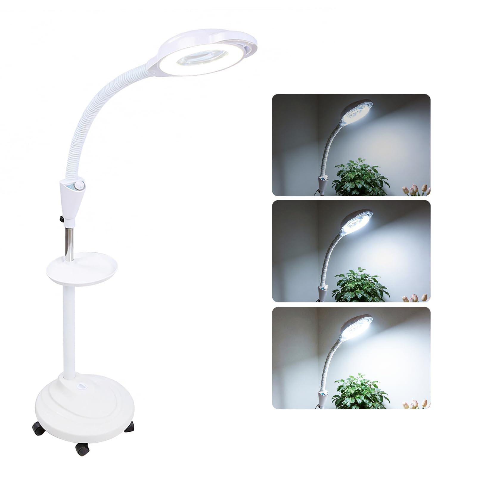 Lámpara de Pie con Lupa LED, Luz de Belleza Ajustable En Altura 8X, Luz con Soporte Rodante 360 ​​Grados Lampara Estetica Profesional para Injerto de Pestañas, Cuidado Salon Manicura y Tatuajes (EU)