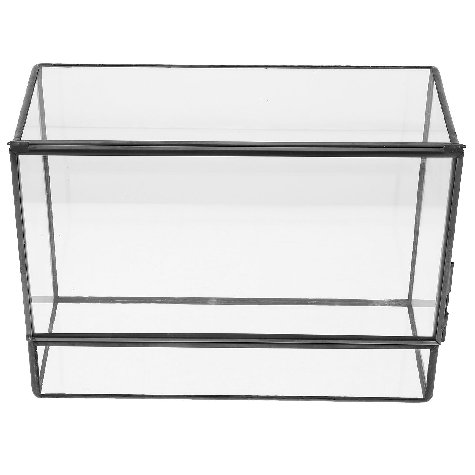 Terrario in Vetro per Piante, Terrarium Moss, Mini Contenitore Geometrico per Muschio e Piante, Trasparente, per DIY e Tavolo da Cucina