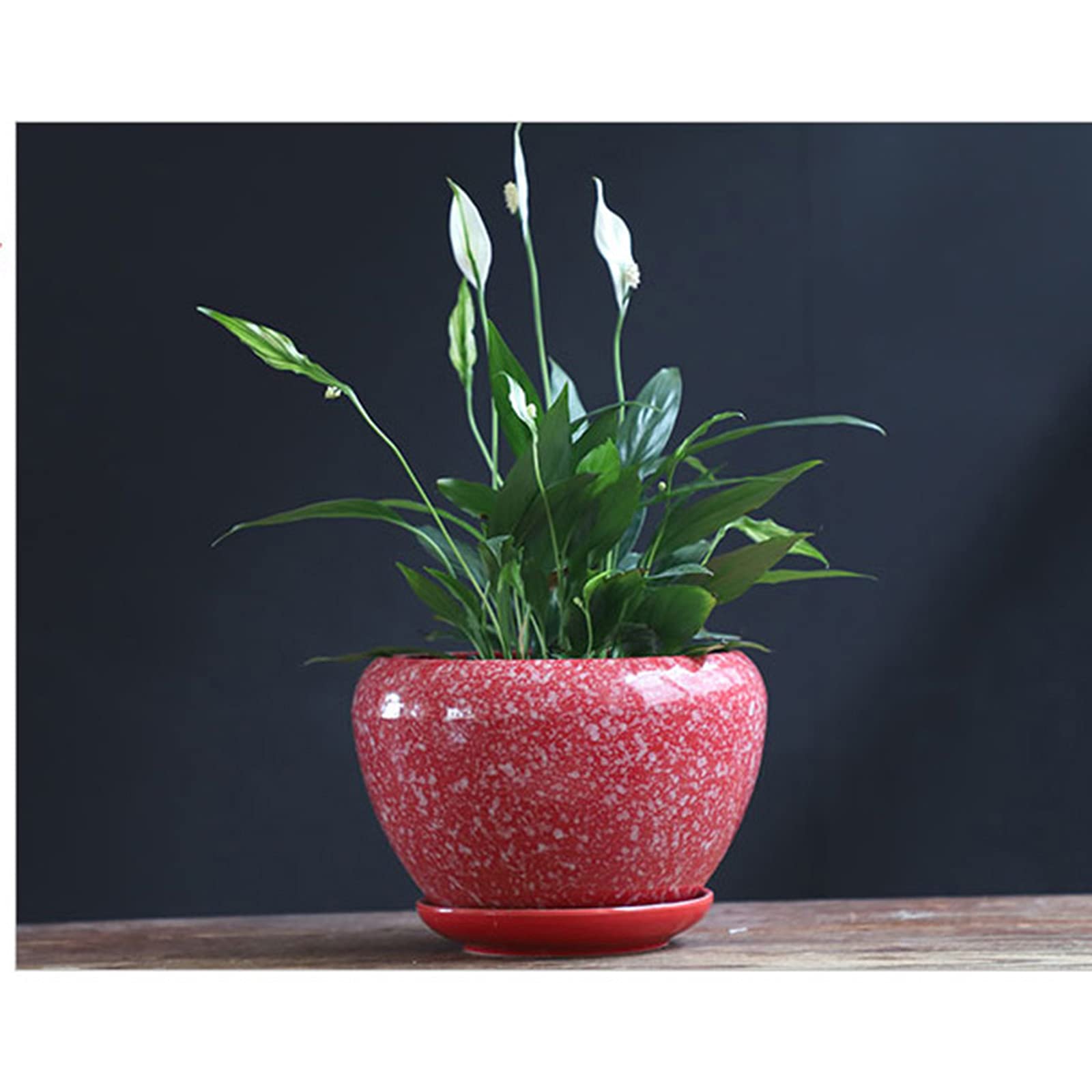 Amazon.co.jp: 赤い大きな装飾的な植木鉢、多機能の屋内新鮮な花植木鉢