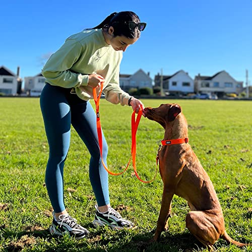 Twoear 6Ft Dog Leash Reflective, Comfortable Soft Padded Handle, Heavy Duty Dog Leash Nylon Dog Walking Leash For Small, Medium And Large Dogs, Orange #TOP2