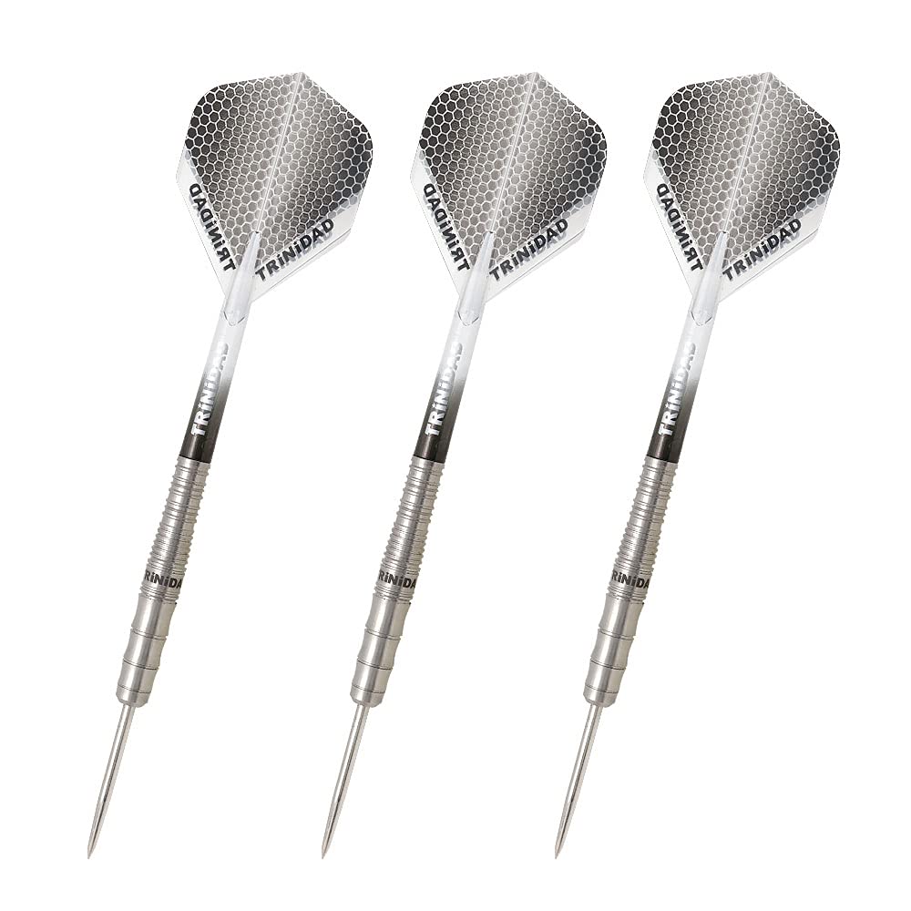 ダーツバレル TRINIDAD MEDEL メデル 柿崎耀選手モデル Amazon | TRiNiDAD PRO Medel ダーツ バレル トリニダード プロ