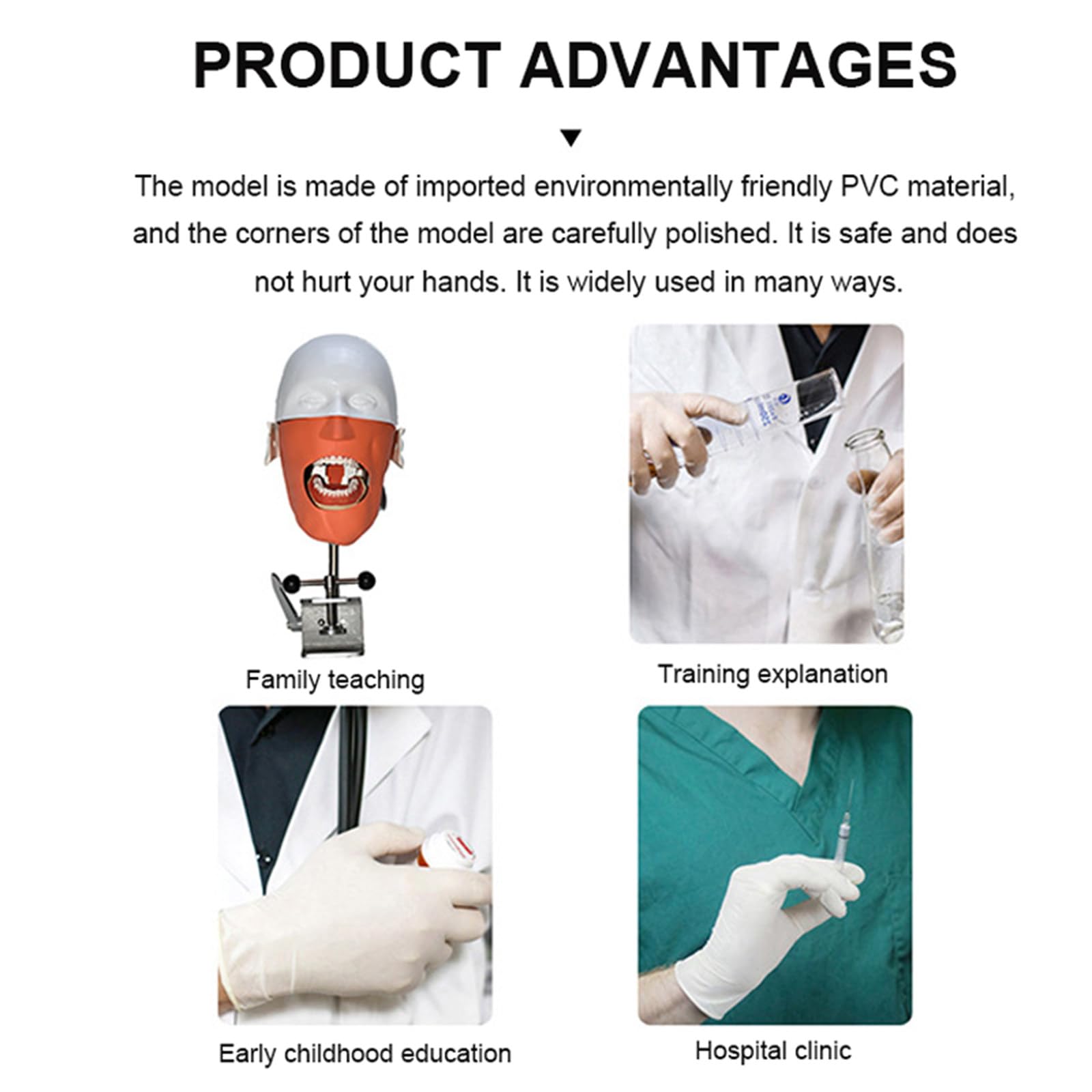 Modello Di Testa Di Phantom Dentale, Simulatore Dentale Phantom Head Training Per Dentisti Assistenti Dentali Pratica Dentista Insegnamento Modello Di Pratica, Con Montaggio Su Banco,Sicuro E Inodore