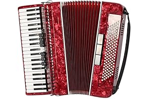 41 Keys Accordion, Perfect for Beginners and Professionals