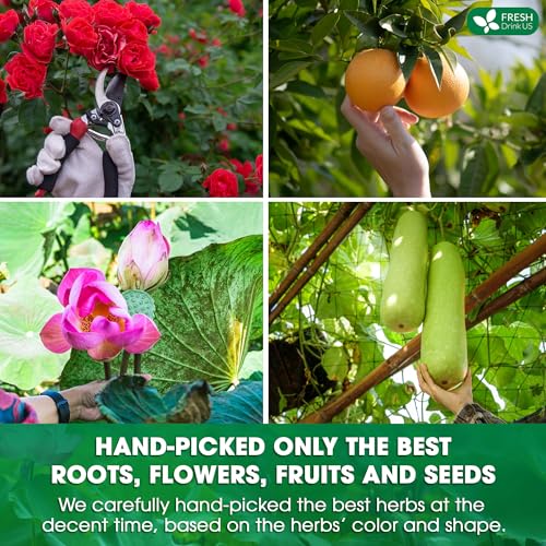 Image of FRESHDRINKUS, 20 Packs of Oil Reducing Tea, Oil Cleansing for Liver, 10 Herbal Ingredients, Traditional Recipe Tea for Liver, 100% Natural, Easy Brewing, Steep Repeatedly