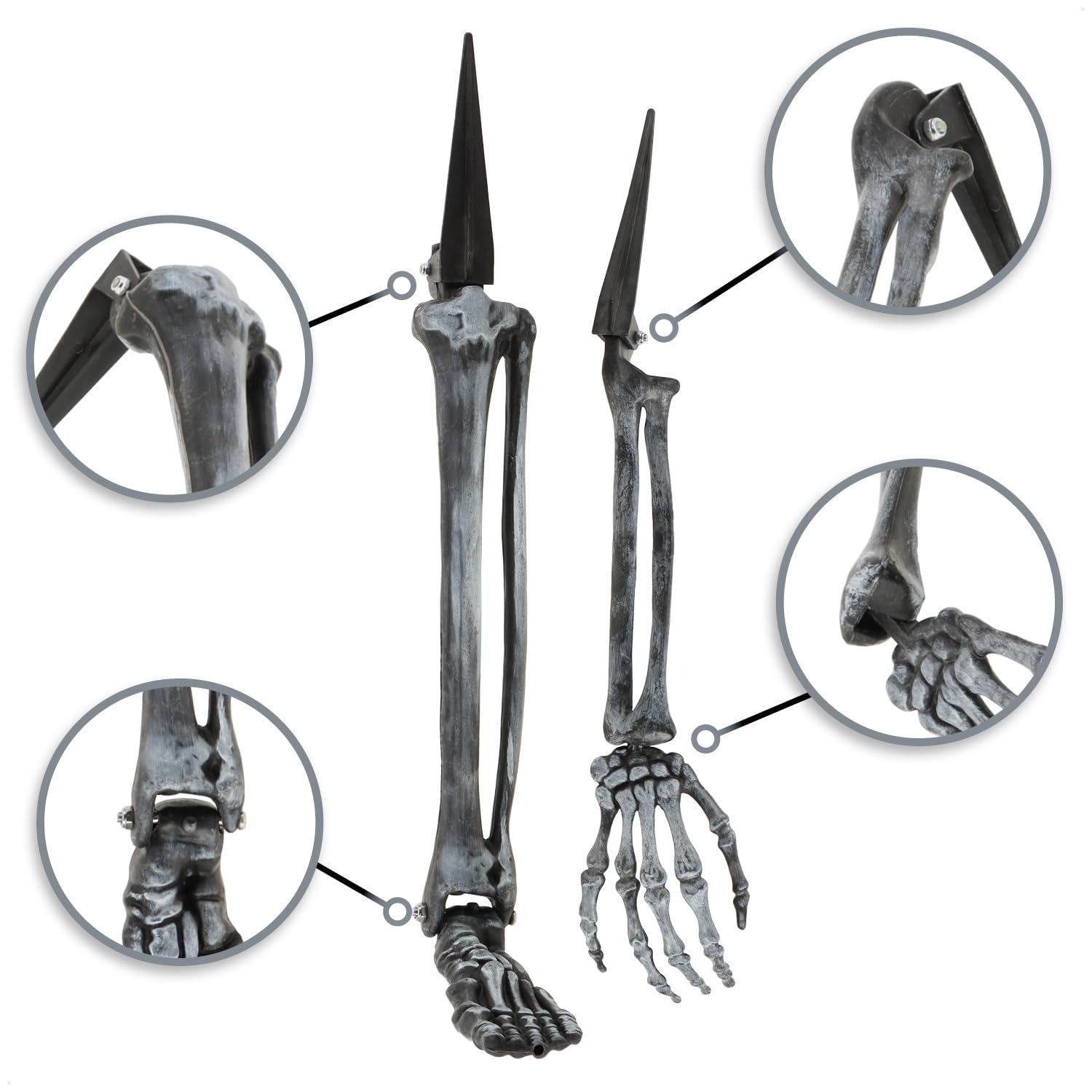 Set di 4 federe per cuscini contemporanee con scheletro e zucca di