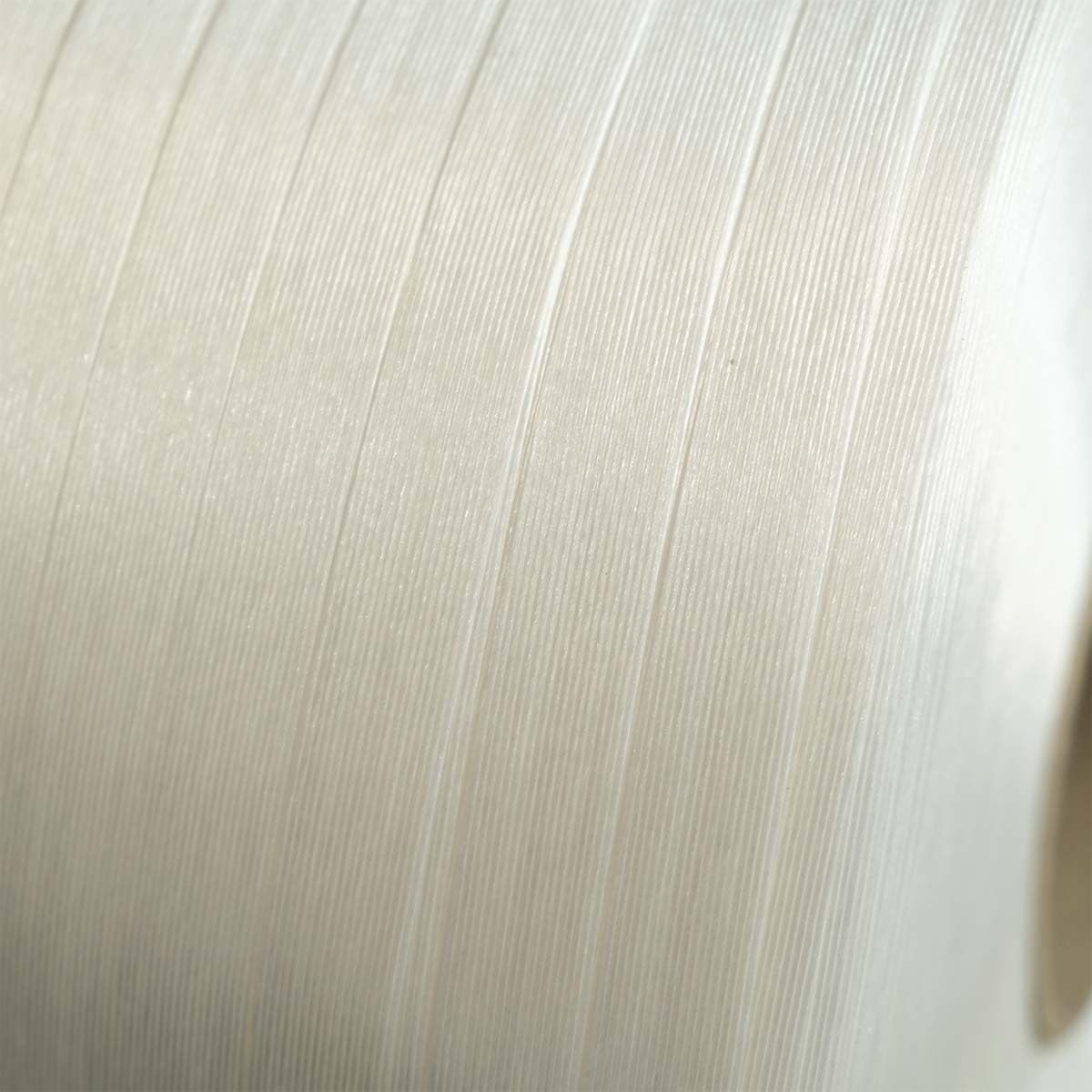 TECPLAST Lot de 52 Feuillards de cerclage fil à fil LFF5 19 mm x 600 m dont 12 OFFERTS - Feuillard Haute Résistance 550kg