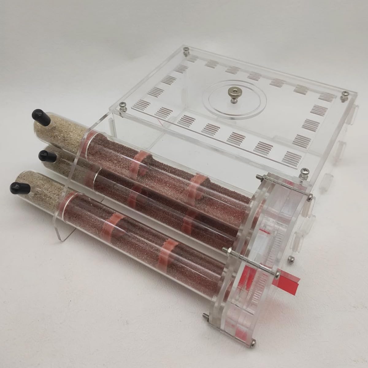 Formicaio, Provetta for formiche in acrilico Allevamento di regine per(With test tubes)