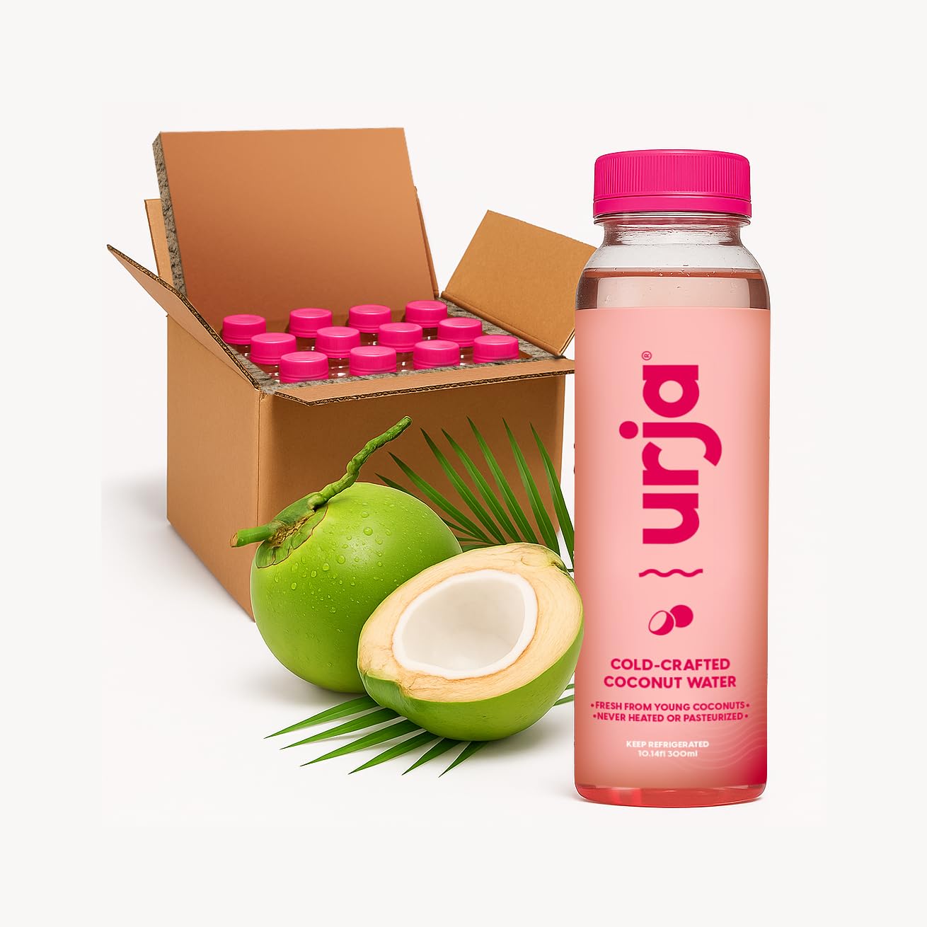 URJA Fresh Coconut Water – Cold-Crafted, 100% Pure, Raw & Unpasteurized – Kerala Young Coconuts – No Added Sugar, Natural Electrolytes, Vegan, Non-GMO – Ships Cold (12-Pack, 10.14 Fl Oz)