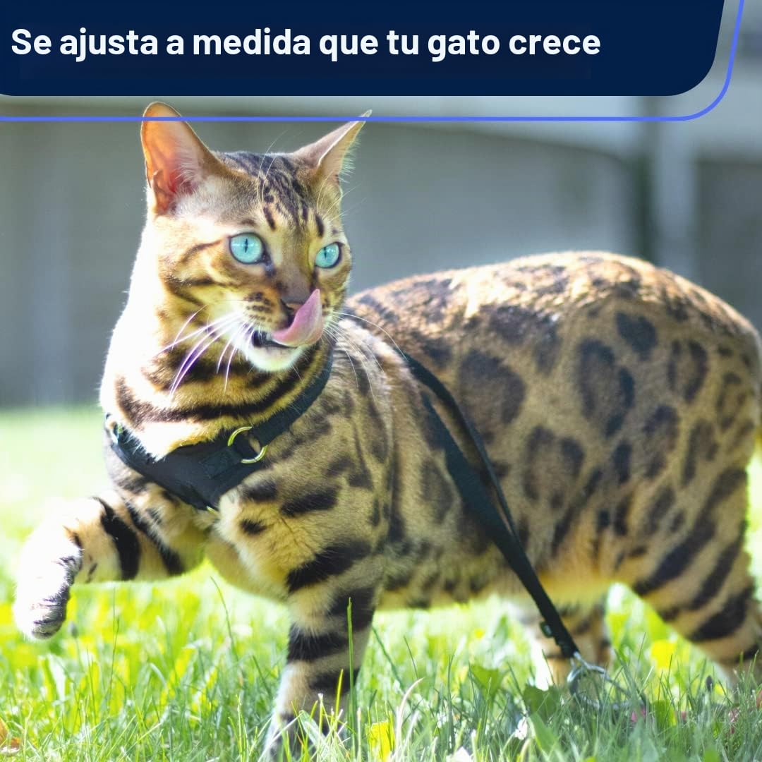 Houdini™ - Juego de arnés y Correa de Piel Vegana a Prueba de Escape para Gatitos de OutdoorBengal para pasear (S)