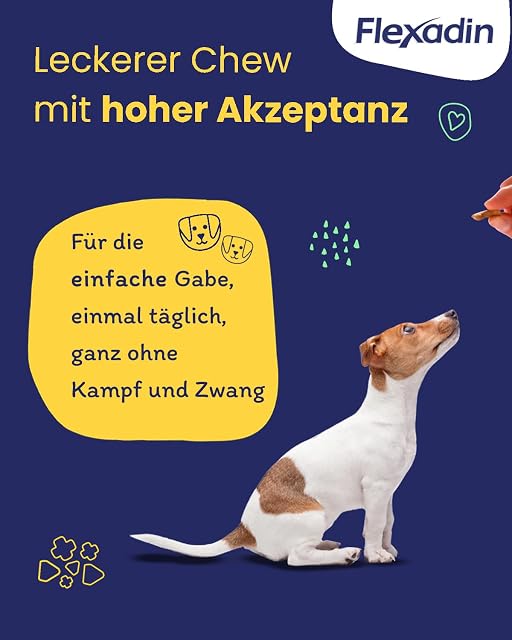 Foto 3 de 7 de Flexadin ® Young Dog Mini
