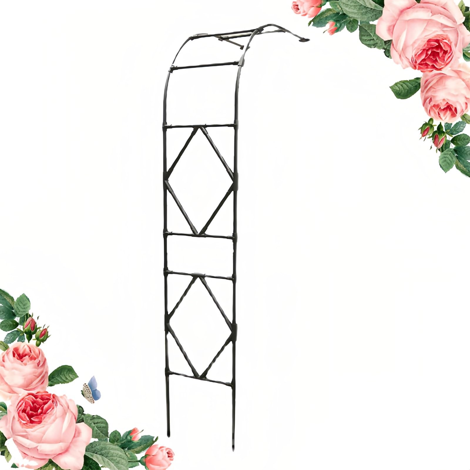 Arche de jardin en métal noir pour plantes grimpantes et rosier