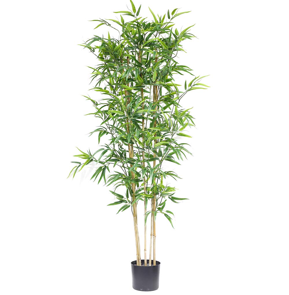 Artificial Bamboo Plants Bangalore Decor For You