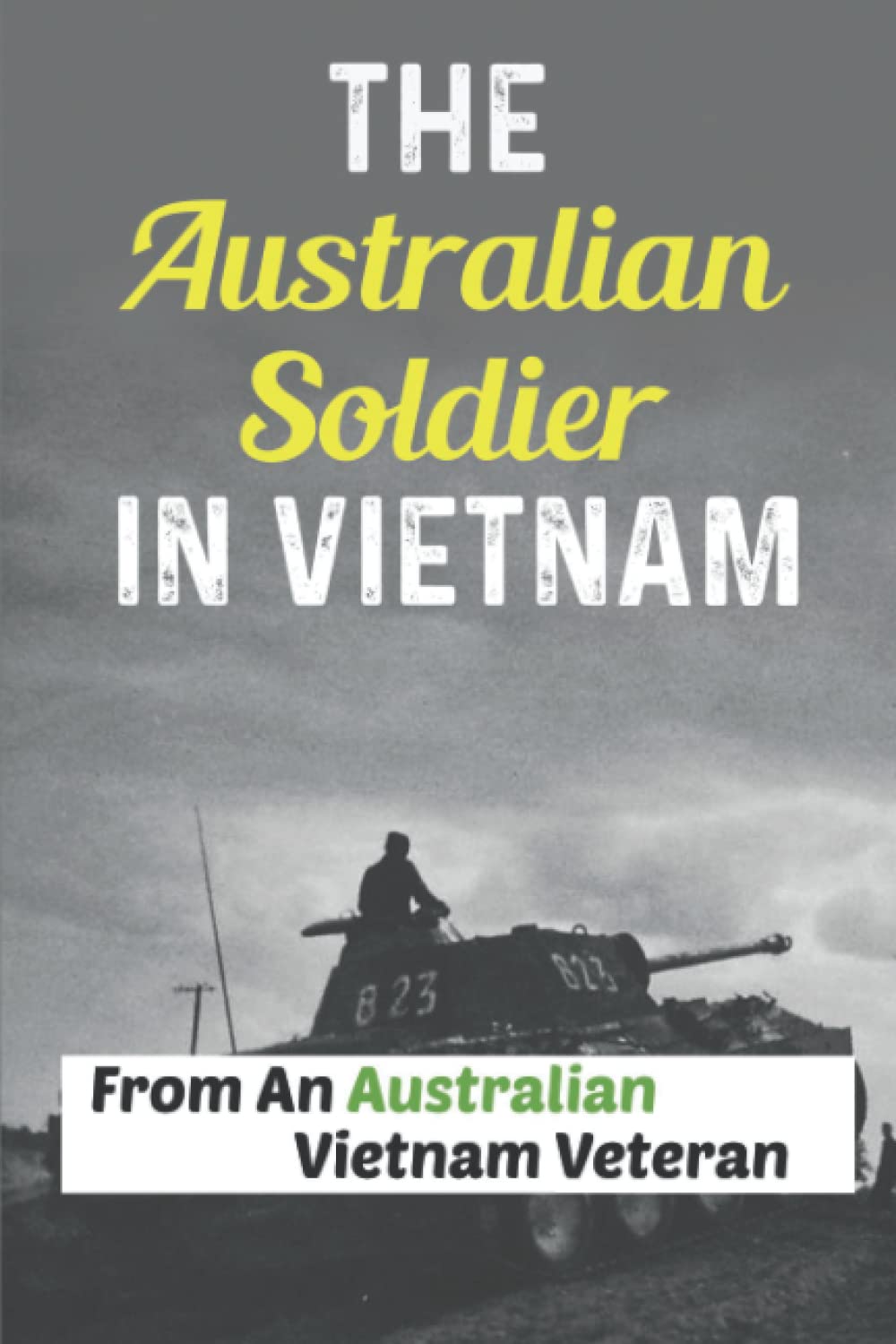 The Australian Soldier In Vietnam: From An Australian Vietnam Veteran