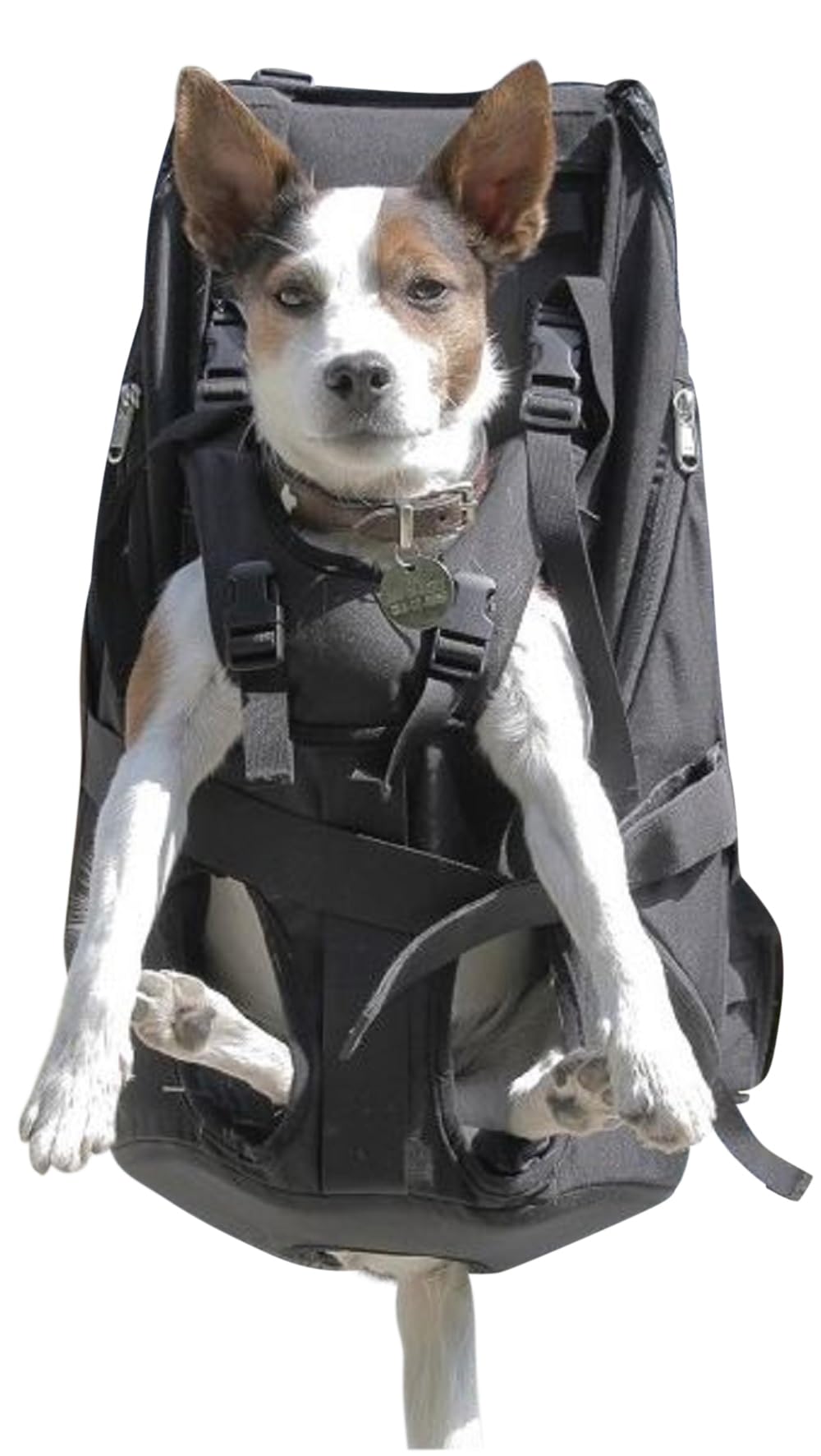 Patentierter Premium Leg Free Rucksack zum Tragen von Hunden Hunderucksack Hundetrage Hundetragerucksack für Hunde