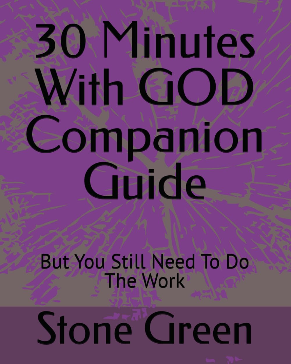 30 Minutes With GOD Companion Guide: But You Still Need To Do The Work (The Bible Won't Read Itself Series)