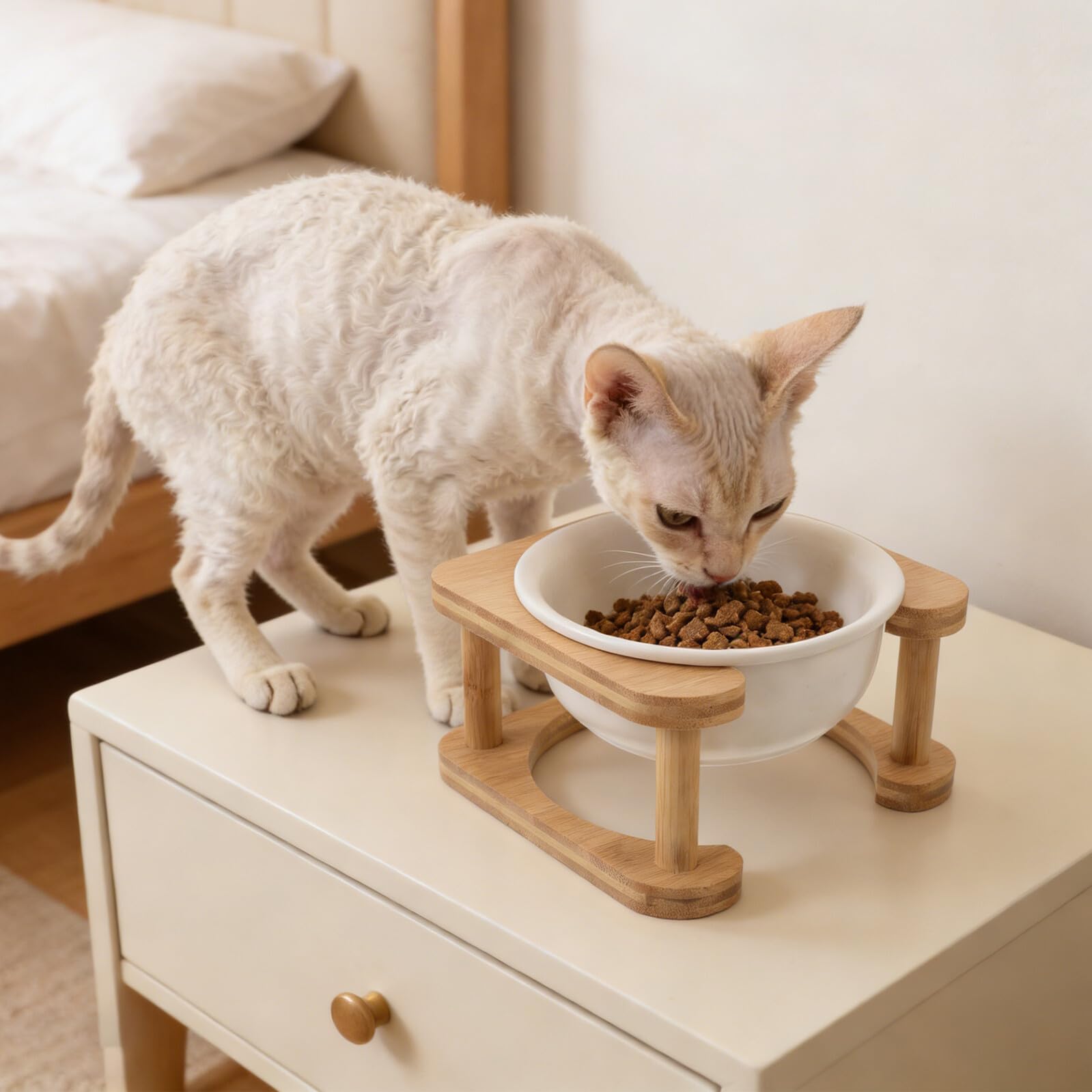 BESPORTBLE Ciotola per Cibo e Acqua per Cani e Gatti in Ceramica da 600 Ml con Supporto Rialzato in Legno Antiribaltamento, Stazione di Alimentazione Antiscivolo per Cuccioli e Animali