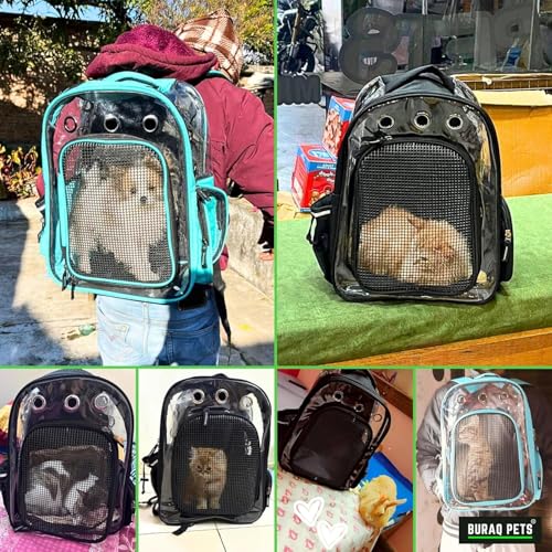 Image of Buraq Breathable Design Pet Carrier Backpack for Hot Weather Travel, Hiking, Ventilated, Touring, Airline-Approved, Sturdy Base cat Bag for Cats Kitten Puppy Rabbit Bird (Red)