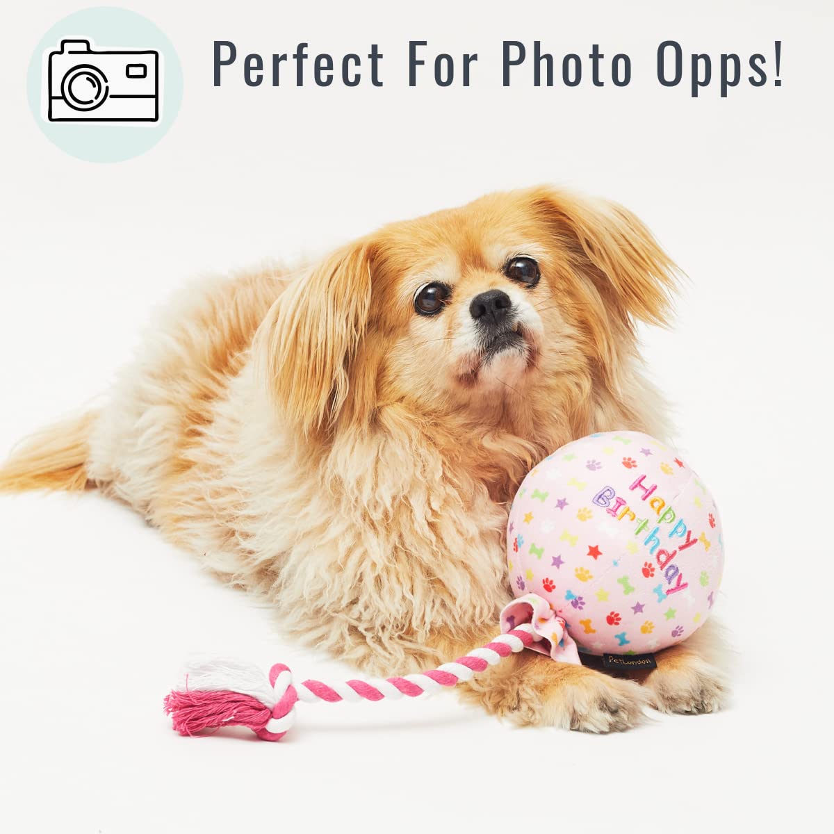Pet London Geburtstags-Hundespielzeug mit Luftballon, Rosa – Feiern Sie den Hund Happy Birthday – Plüsch, buntes Regenbogen-Konfetti-Muster, Hunde-Party-Geschenk