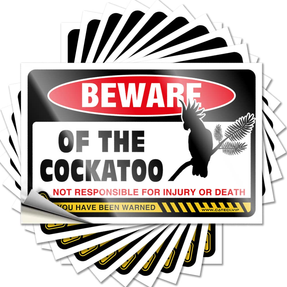 Music Decor Laptop Saying | Beware of Cockatoo Books for Adulting Decor(12X18CM)