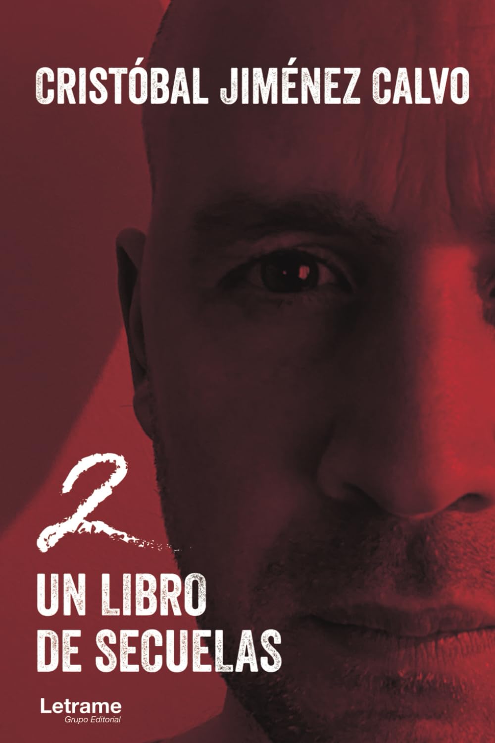 2, un libro de secuelas (Spanish Edition)