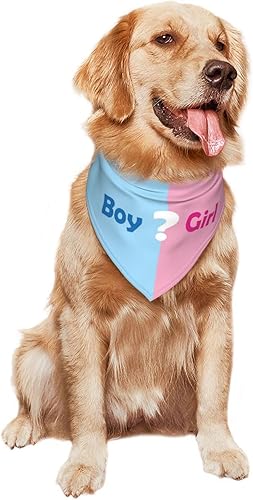 Miniatura 9 de Qué será Anuncio de embarazo, bufanda triangular para mascotas, revelación de género, accesorios de fotografía de baby shower (rosa)