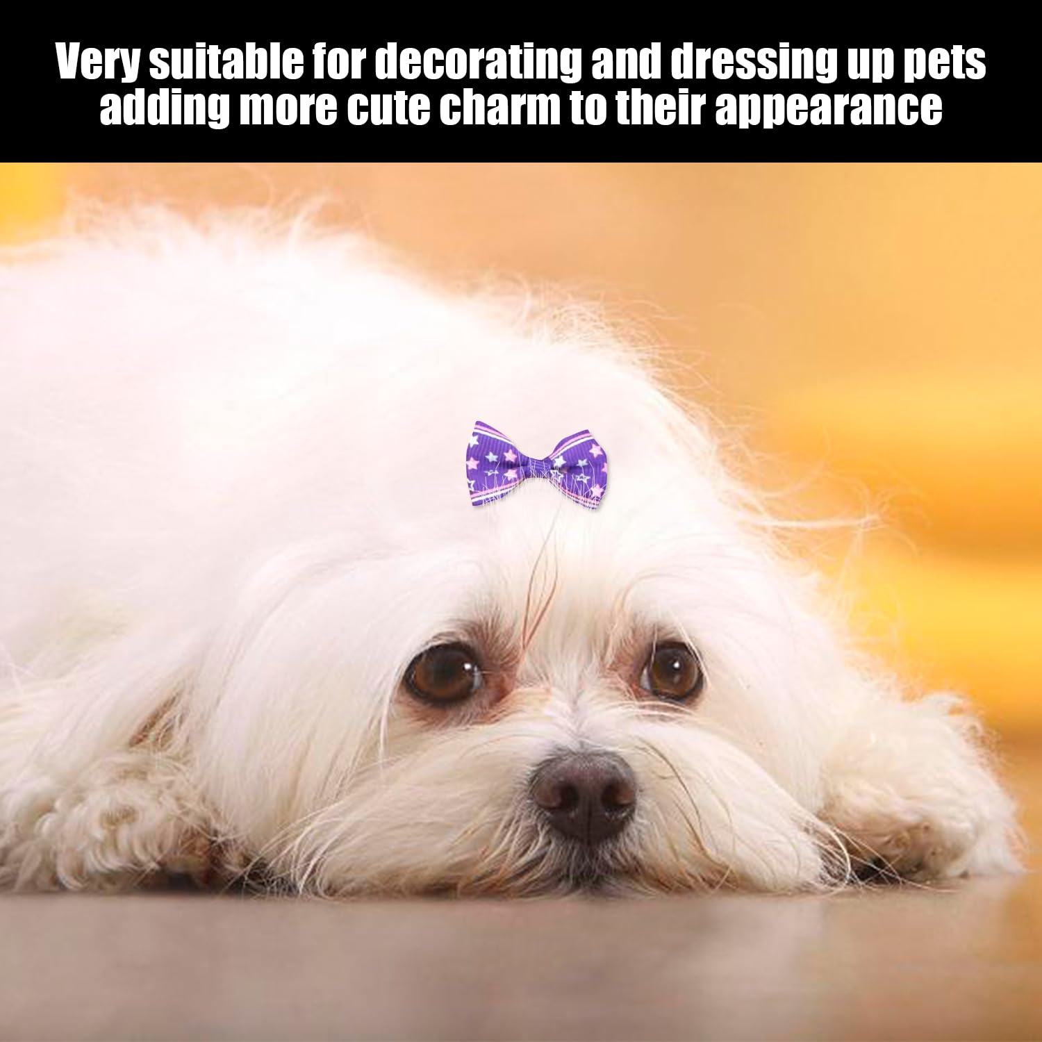 100 Elastici Per Capelli Con Fiocco Per Animali Domestici - Accessori Decorativi Per Cani E Gatti Con Borsa Portaoggetti