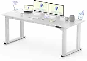 Amazon.com: FLEXISPOT E6Q 4 Legs Standing Desk 78 x 32 Inch