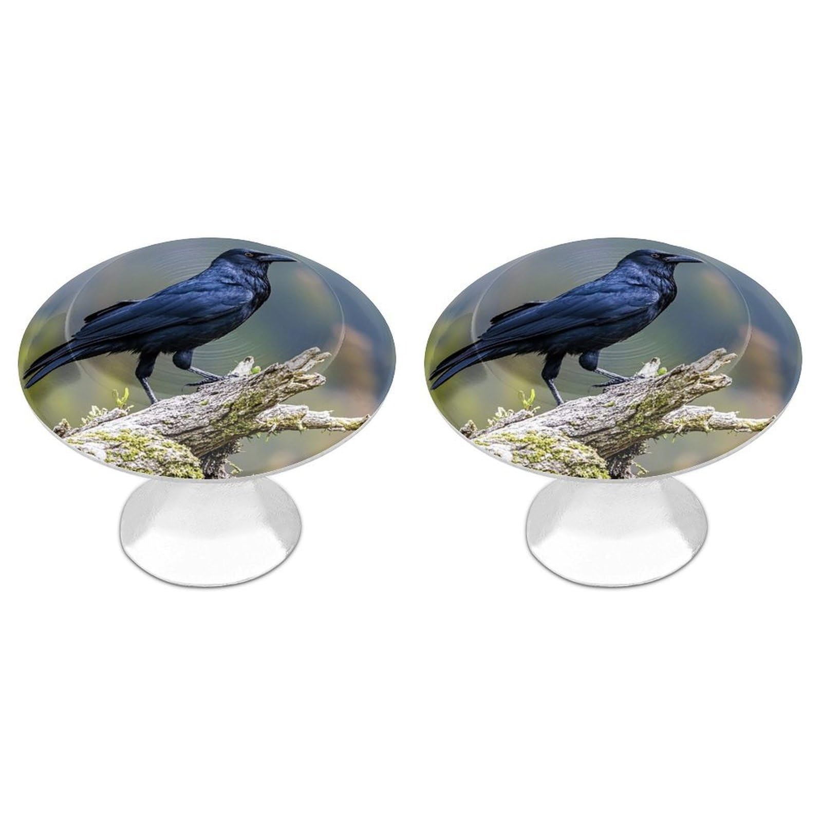 QMNLKH Black Crow Birds Cabinet Knobs for Home, Round Drawer Pulls for Kitchen, Personalized Cupboard Handles with Screw, Fashion Dresser Knobs for Office, Drawer Handles, 2 Packs