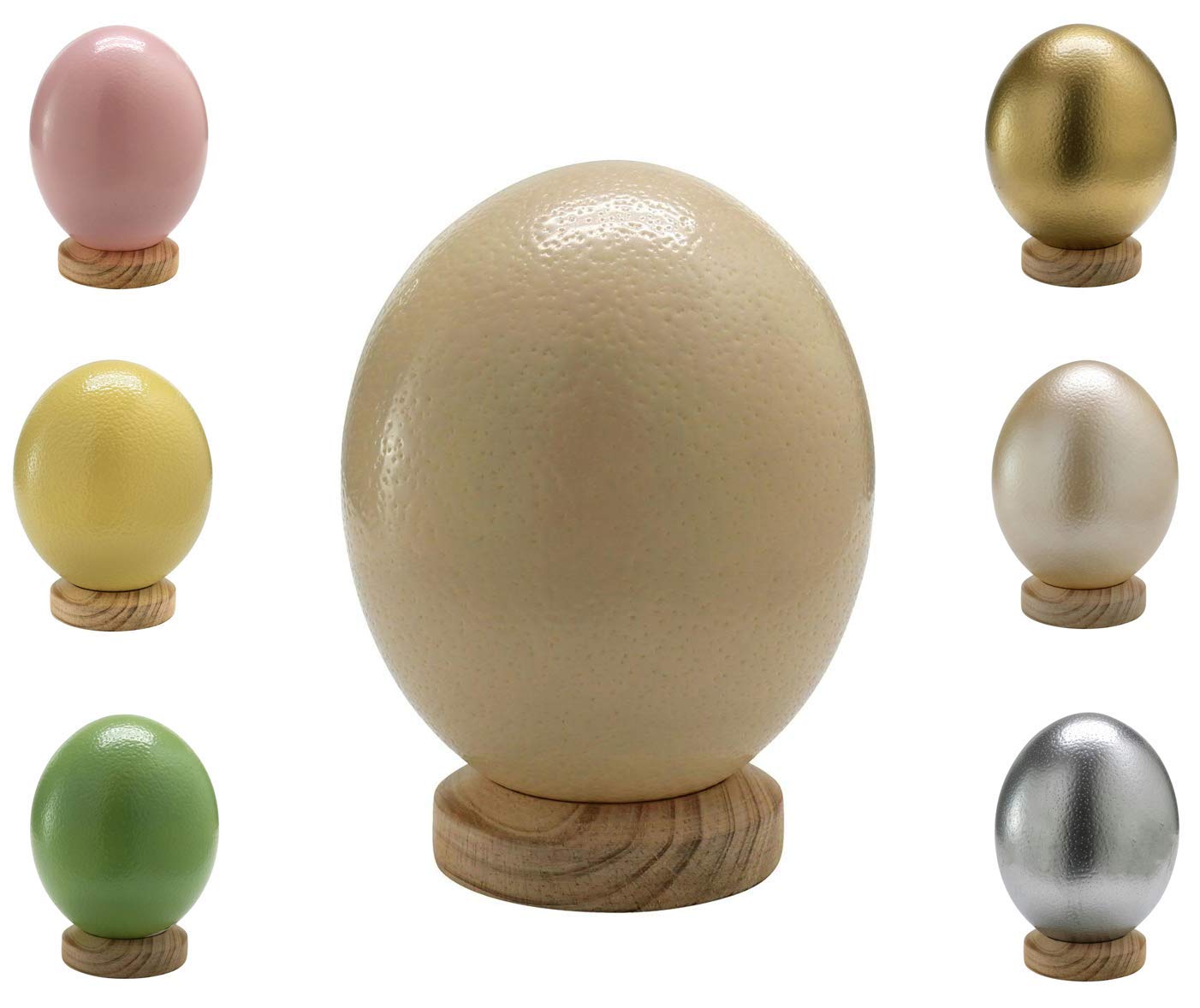 Huevo de avestruz natural de Sudáfrica – 1 pieza, vaciado y soplado, limpio (marfil blanco)