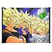 Dragon Ball Z Anime Fabric Wall Scroll Poster (42"x31") Inches