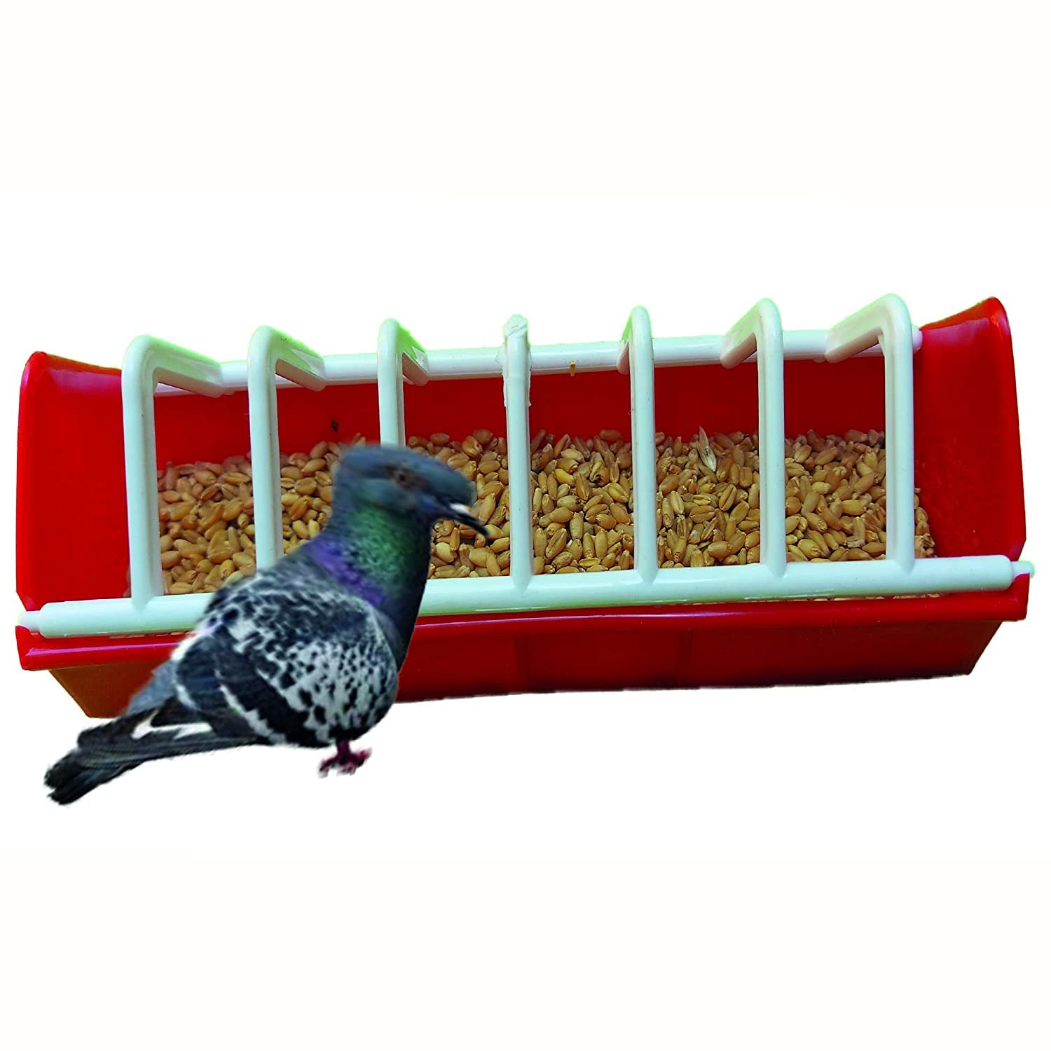ANICHA Chicks, Birds and Hen Grill Feeder 9' inch / Feeder, Drinker for Balcony Hens, Birds, Pet Birds (Pack of 10)