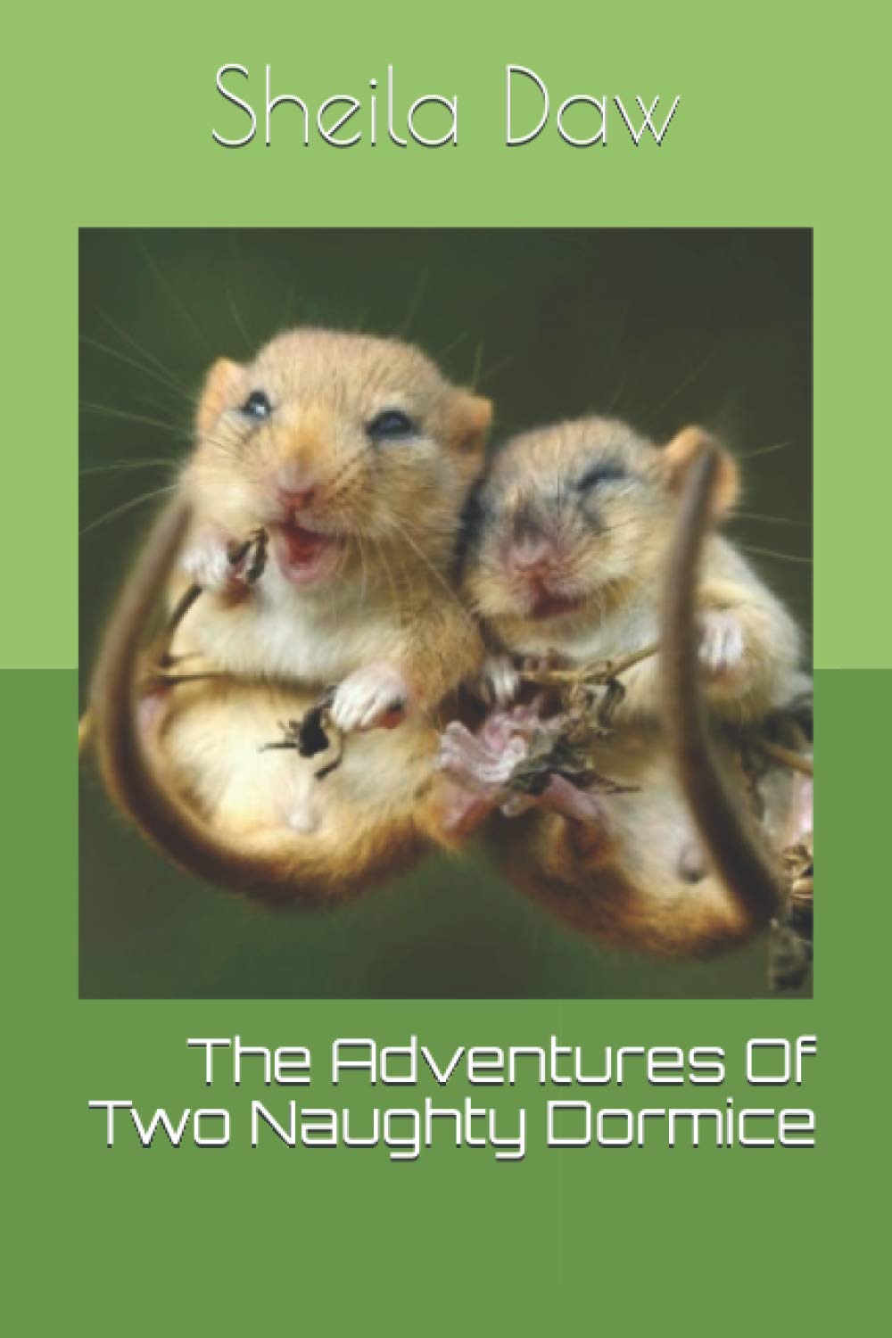 The Adventures Of Two Naughty Dormice