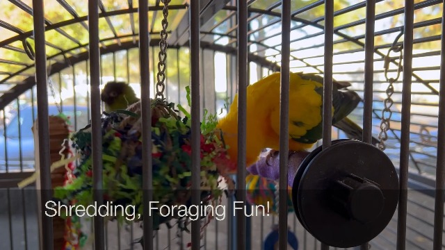 3” Super Shredder Ball Bird Toy - Fun Foraging Toys for Birds w/ Colorful Paper & Wooden Treasures - Easy to Hang Shredding Toys for Birds - Bird Shredding Toys for Cockatiels, Parrots & More - image 8