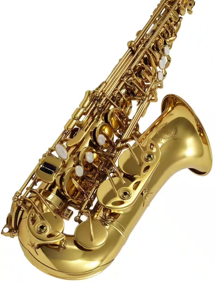 Woodbrass WSA300 – Saxophone Alto Mi♭ Verni – Instrument à vent Saxo d'étude Débutant Prêt à Jouer, Laiton Verni, Sonorité Supérieure, Étui & Accessoires Inclus