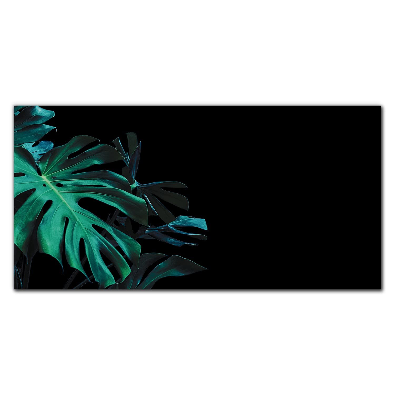 Crédence de cuisine Coloray 140x70cm en verre trempé Jungle